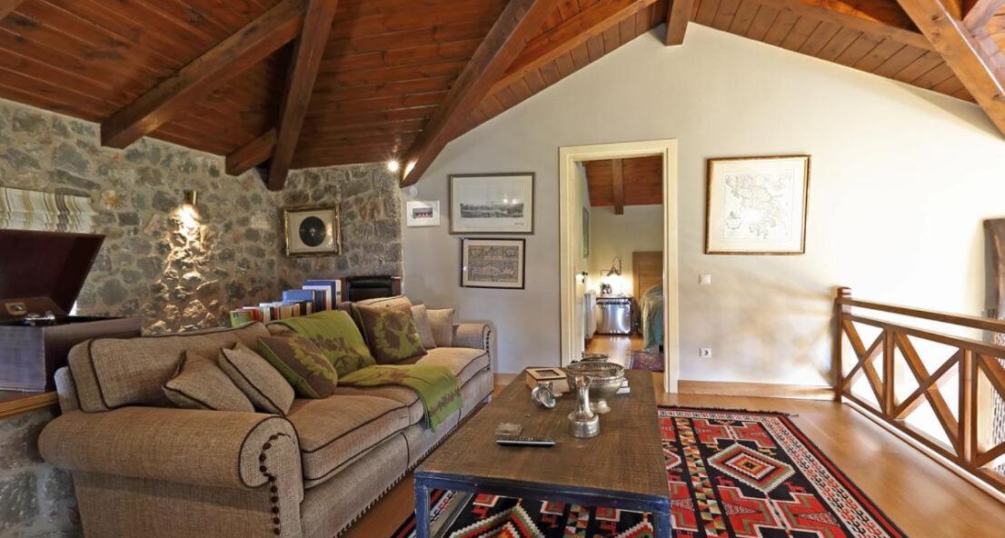 Plethora Arachova Luxury Chalet Buitenkant foto