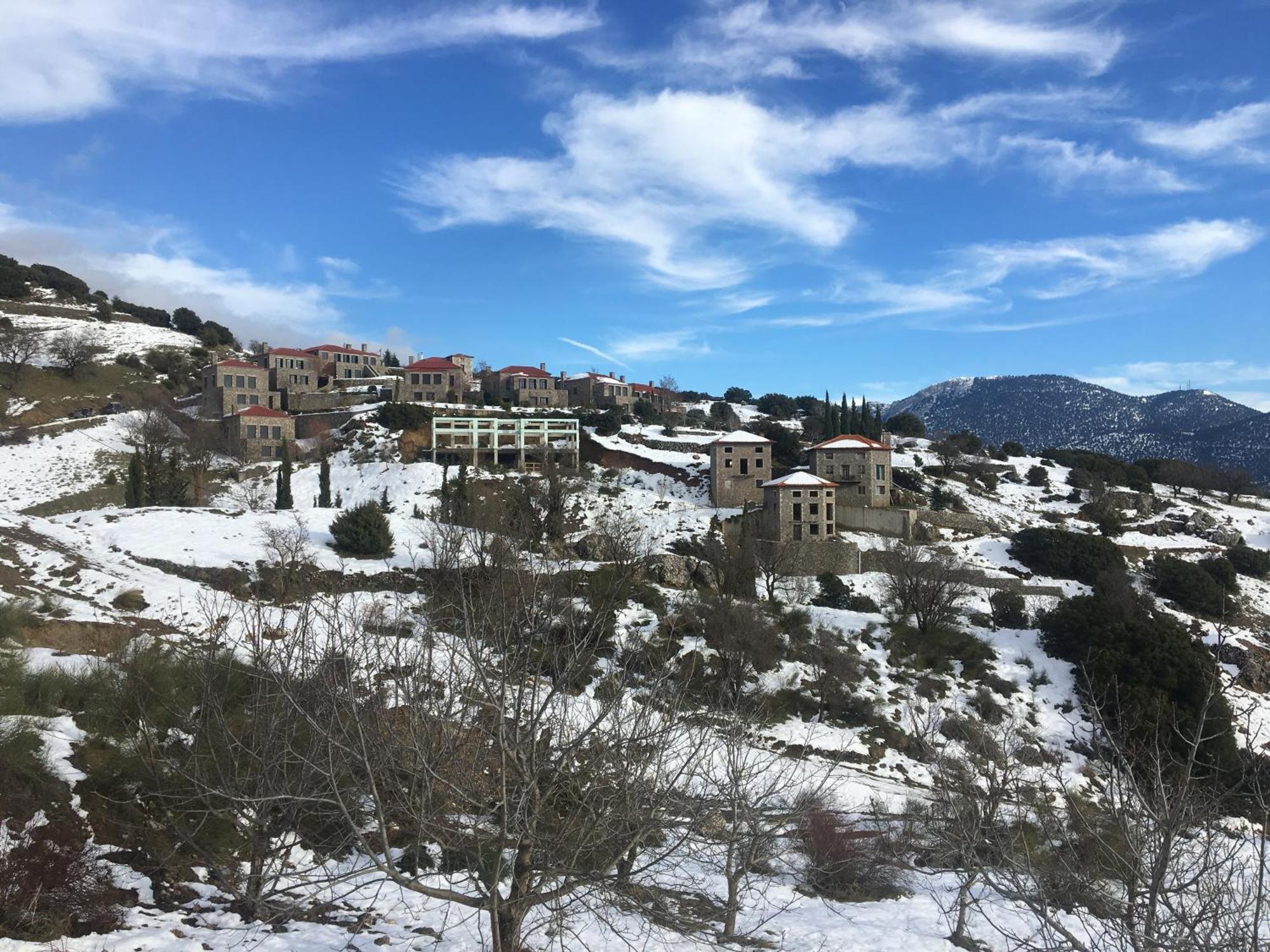 Plethora Arachova Luxury Chalet Buitenkant foto